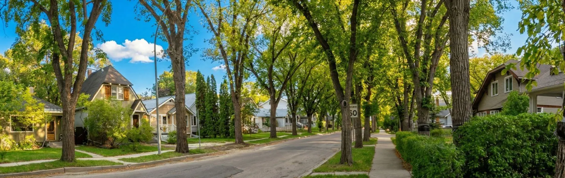 Tree lined street with heritage homes in Lakeview, Regina